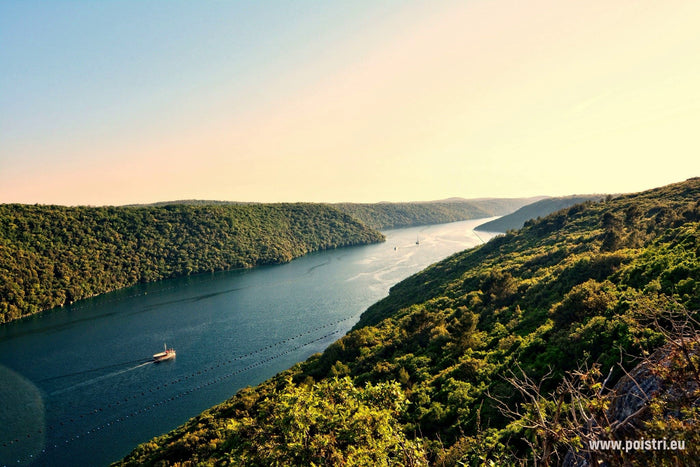 OŠ Kaštanjer Pula - Svetvinčenat i Limski kanal 1 dan