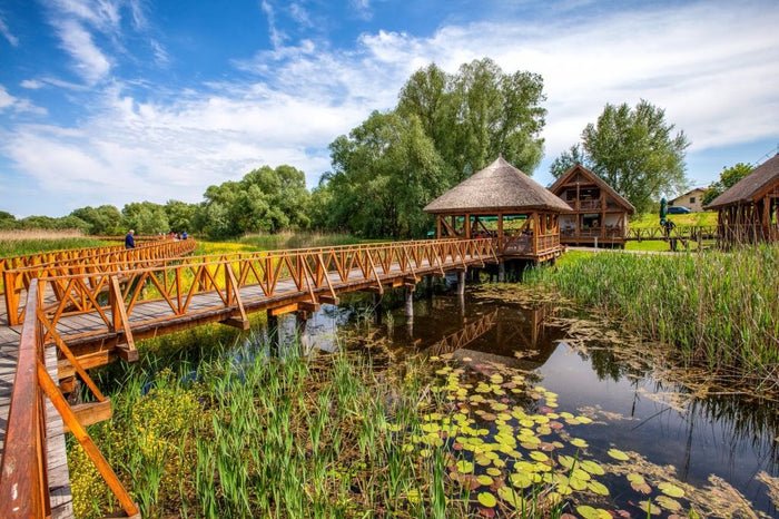 OŠ Vladimira Nazora Rovinj - Slavonija 3 dana