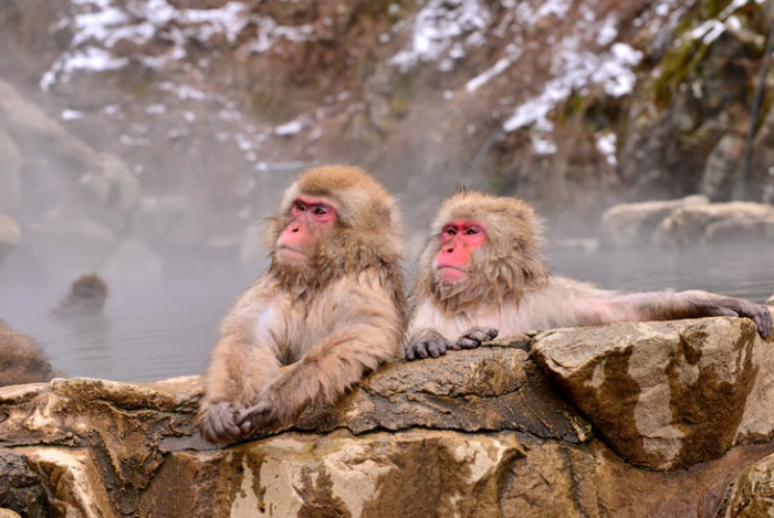 OŠ Ivana Gundulića Zagreb - Klagenfurt