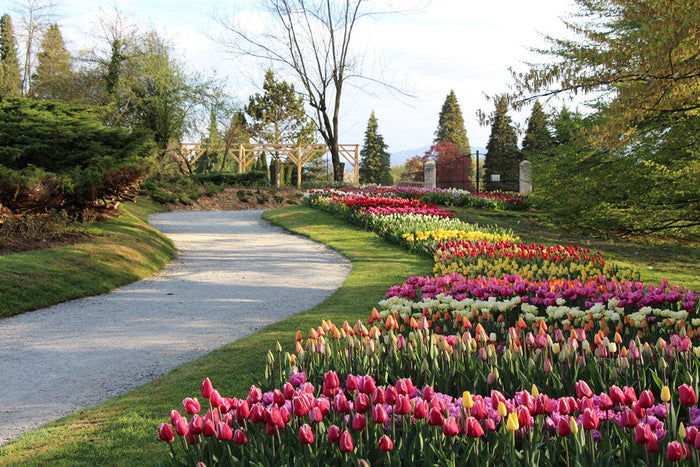 OŠ Kaštanjer Pula - Ljubljana Zoo i Volčji potok 1 dan