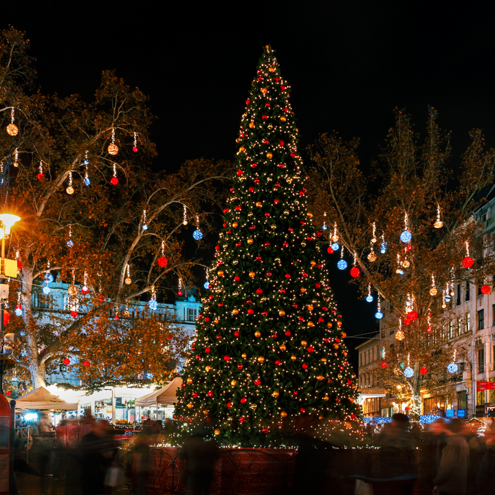 LAST MINUTE: Bajka na Dunavu: Advent u Budimpešti i Pečuhu iz Istre, Rijeke i Zagreba (3 dana)