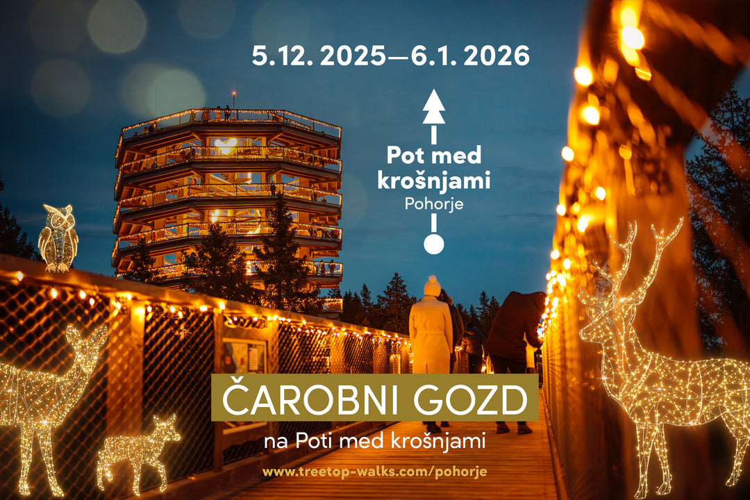 Put Među Krošnjama i Maribor iz Zagreba (1 dan)