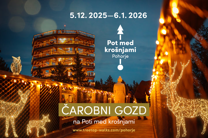 Put Među Krošnjama i Maribor iz Zagreba (1 dan)