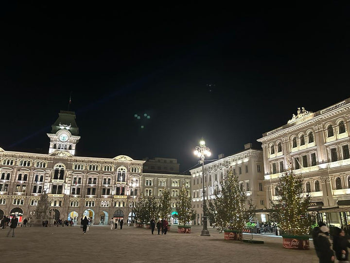 Advent: Trst i dvorac Miramare (1 dan)