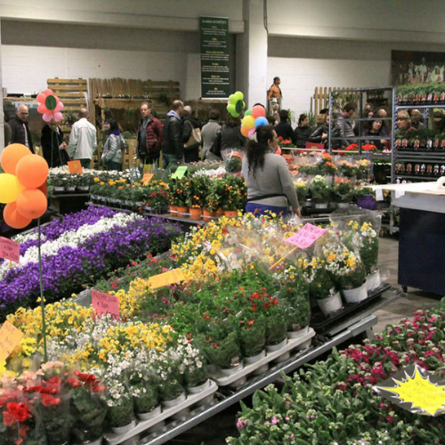 Pordenone, sajam cvijeća 2026. i shopping u Palmanovi iz Zagreba i Rijeke - 1 dan