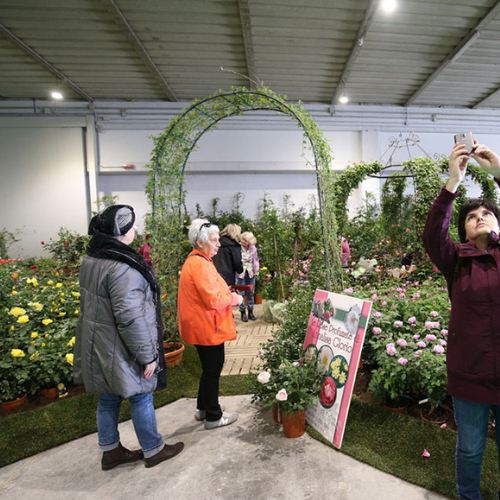 Pordenone, sajam cvijeća 2026. i shopping u Palmanovi iz Zagreba i Rijeke - 1 dan