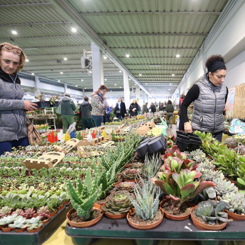 Pordenone, sajam cvijeća 2026. i shopping u Palmanovi iz Zagreba i Rijeke - 1 dan