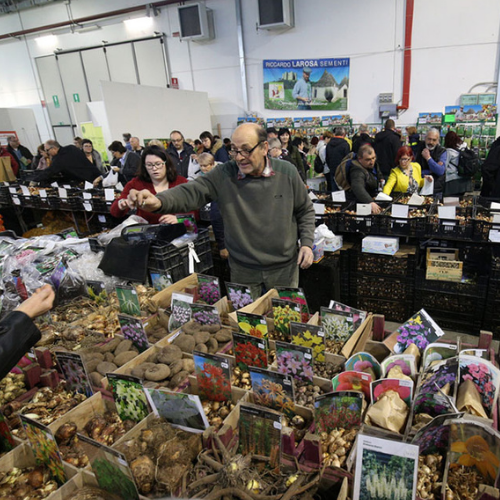 Pordenone, sajam cvijeća 2026. i shopping u Palmanovi iz Zagreba i Rijeke - 1 dan