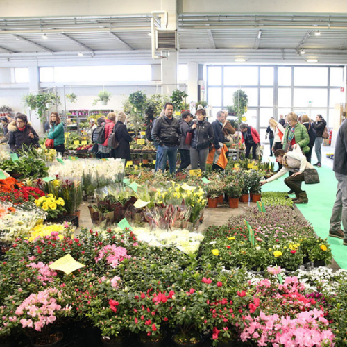 Pordenone, sajam cvijeća 2026. i shopping u Palmanovi iz Zagreba i Rijeke - 1 dan