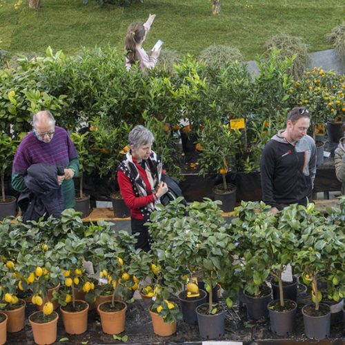 Pordenone, sajam cvijeća 2026. i shopping u Palmanovi iz Zagreba i Rijeke - 1 dan