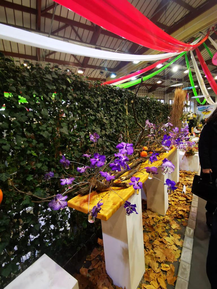 Pordenone, sajam cvijeća 2026. i shopping u Palmanovi iz Zagreba i Rijeke - 1 dan